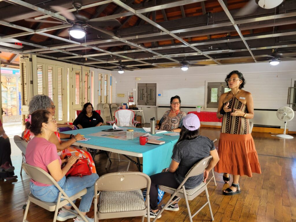 Fundación de Mujeres en Puerto Rico’s 2025 grantmaking focuses on strengthening organizations that promote gender justice.